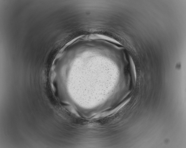 X0000116870210201001121308