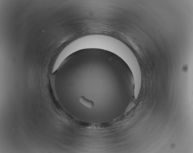 X0000116870211201001121308