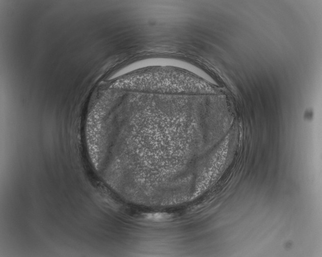 X0000116870212201001121308