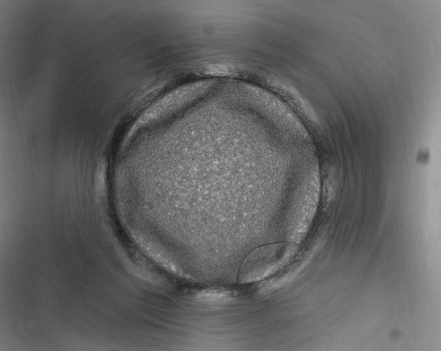 X0000116870213201001121308