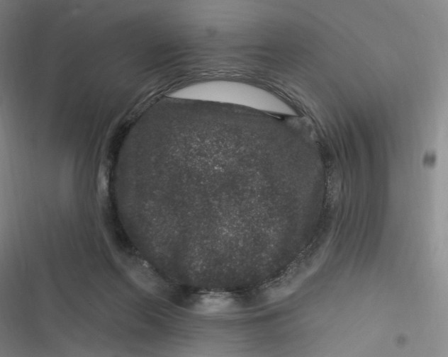 X0000116870214201001121308