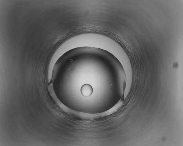 X0000116870215201001121308