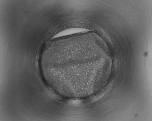 X0000116870217201001121308