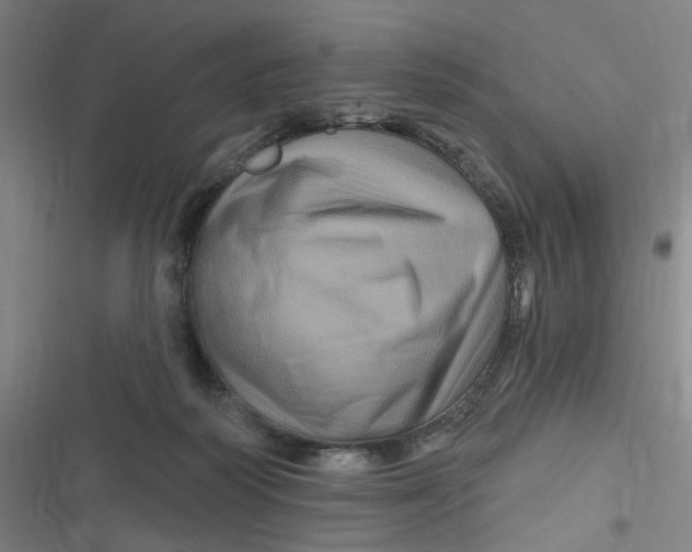 X0000116870218201001121308