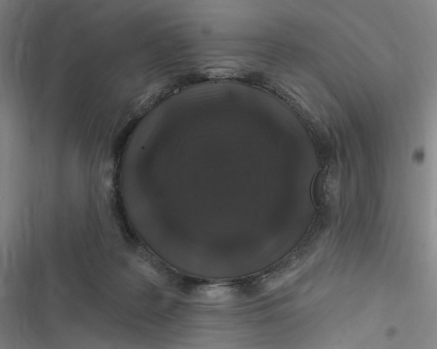 X0000116870219201001121308