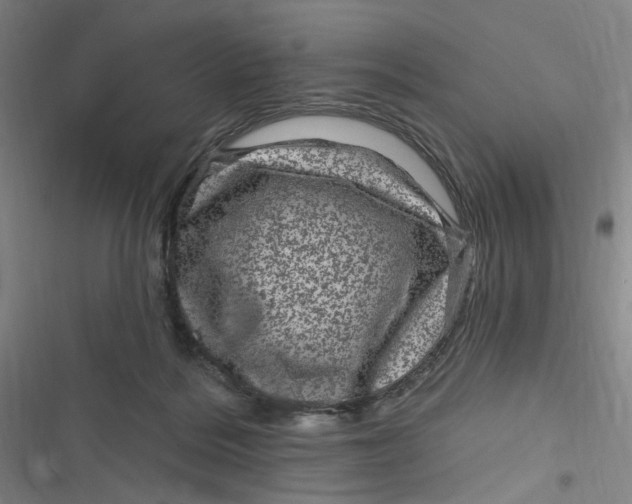 X0000116870220201001121308