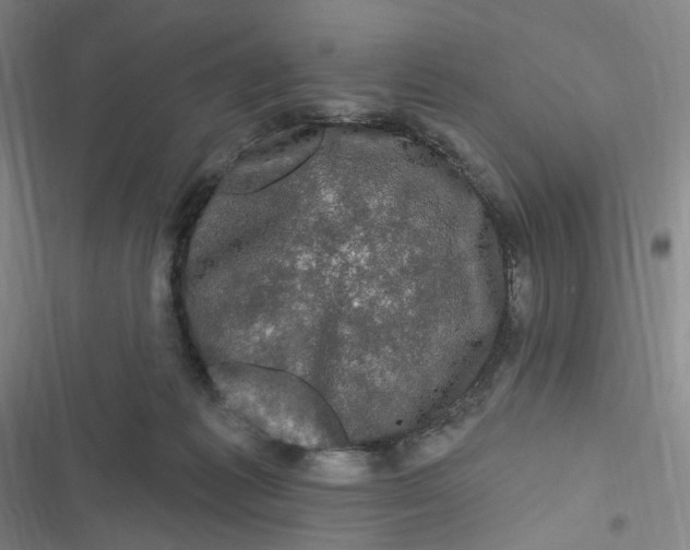 X0000116870221201001121308