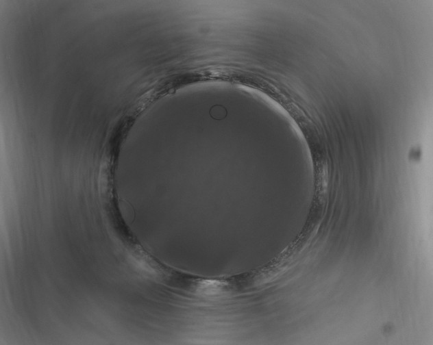 X0000116870222201001121308