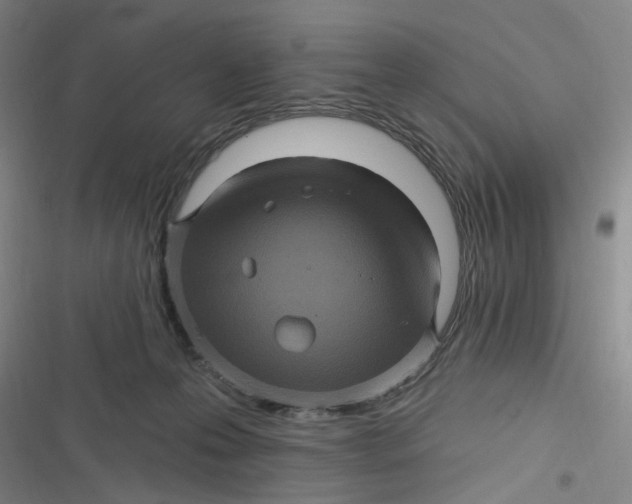 X0000116870223201001121308