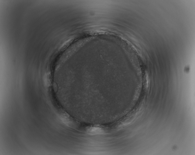 X0000116870224201001121308