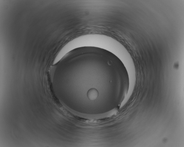 X0000116870225201001121308