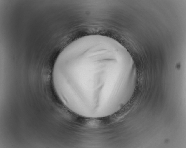 X0000116870226201001121308