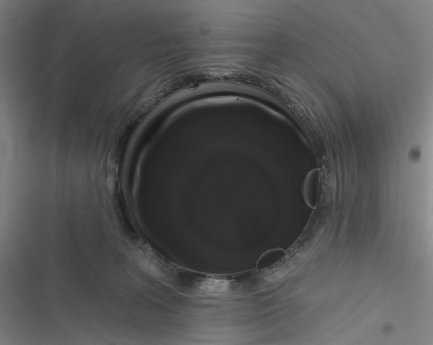 X0000116870227201001121308