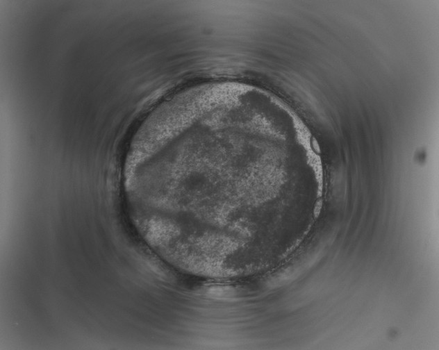 X0000116870228201001121308