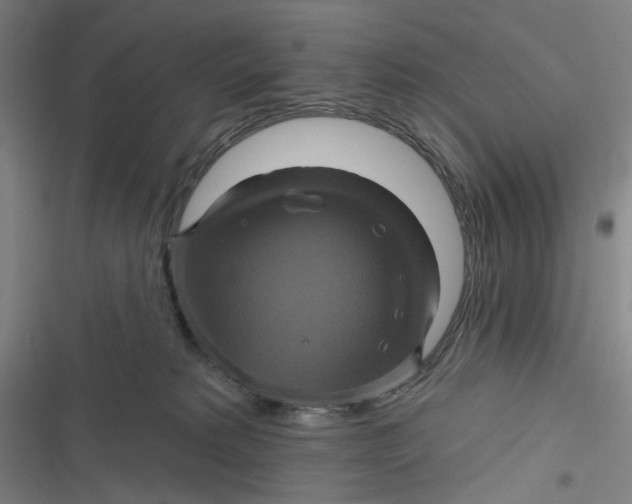 X0000116870229201001121308