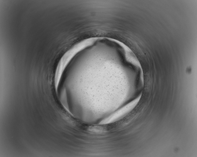 X0000116870230201001121308