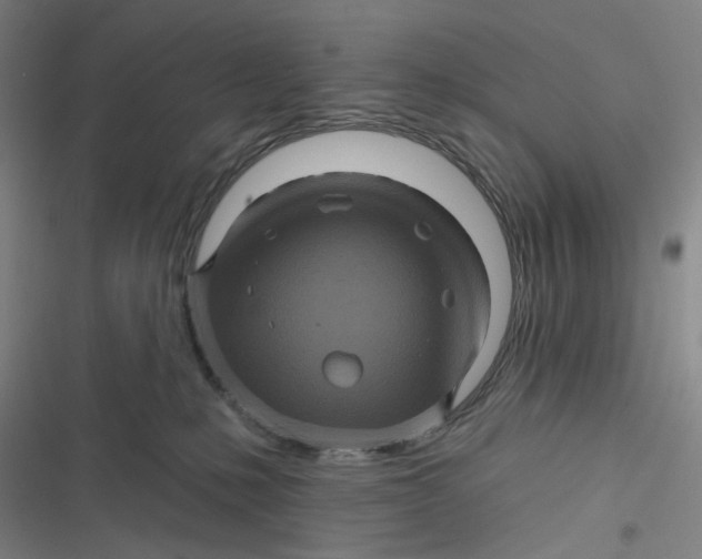 X0000116870231201001121308