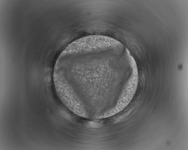 X0000116870232201001121308