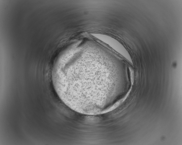 X0000116870234201001121308