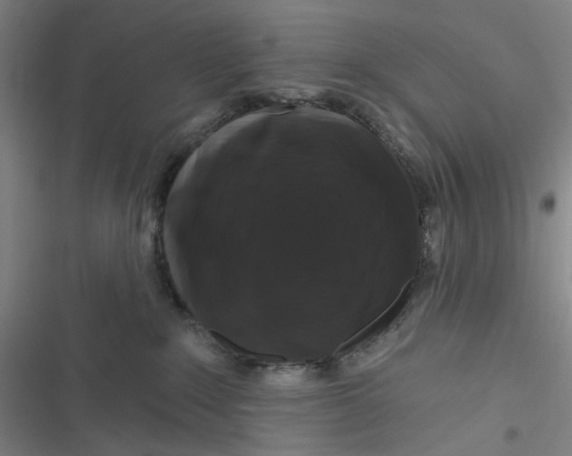 X0000116870235201001121308