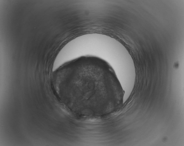 X0000116870236201001121308