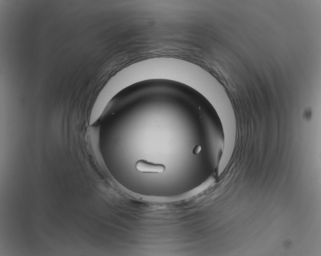 X0000116870237201001121308