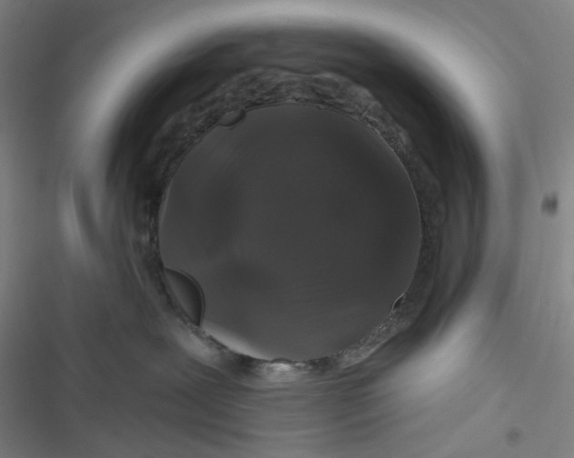 X0000116870239201001121308