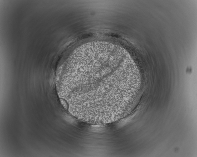 X0000116870240201001121308