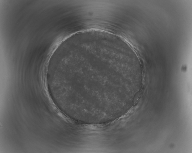 X0000116870241201001121307