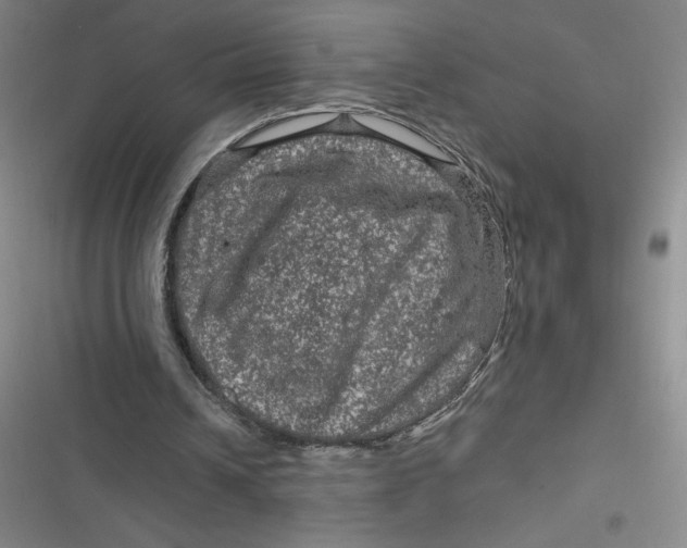 X0000116870242201001121307