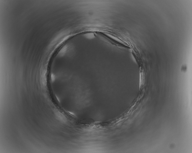 X0000116870243201001121307