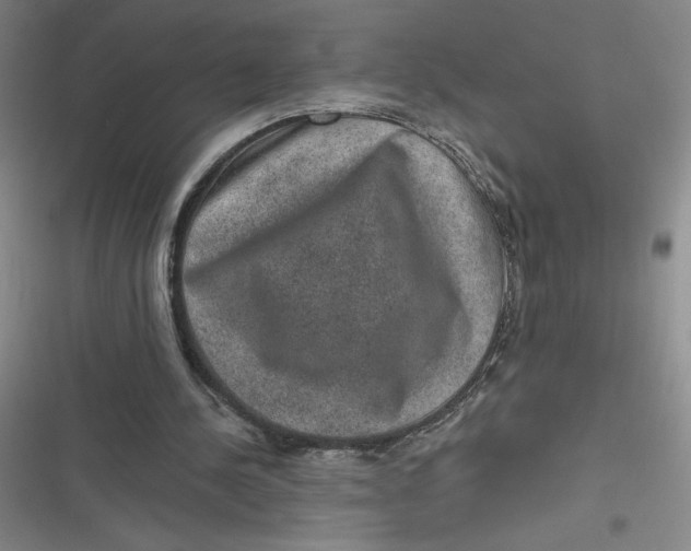 X0000116870244201001121307