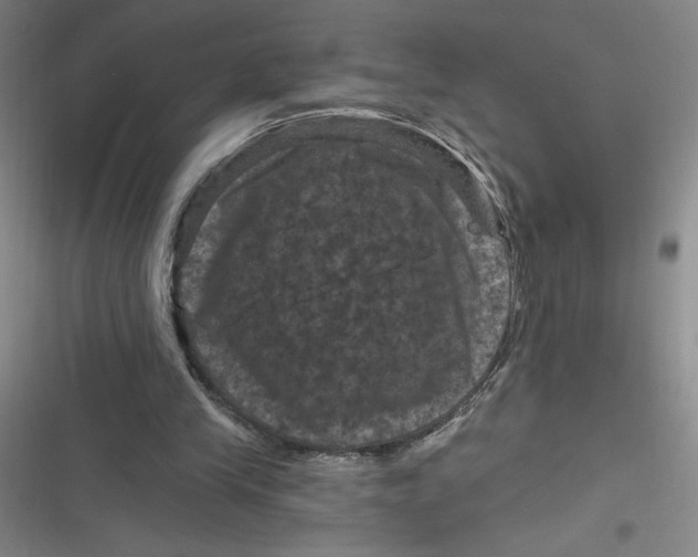 X0000116870245201001121307