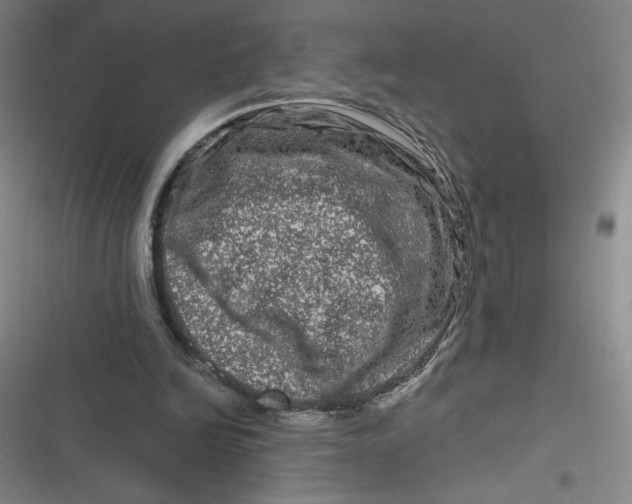 X0000116870246201001121307