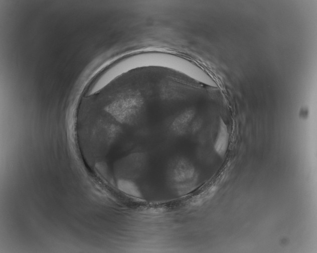 X0000116870247201001121307