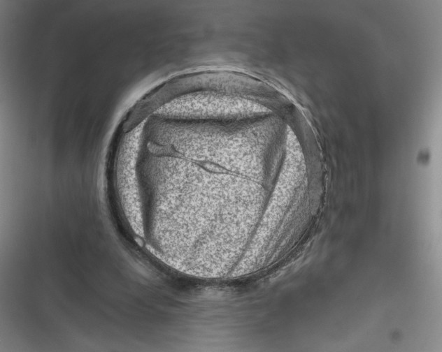 X0000116870248201001121307