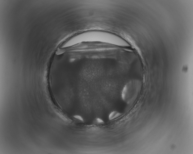 X0000116870249201001121307