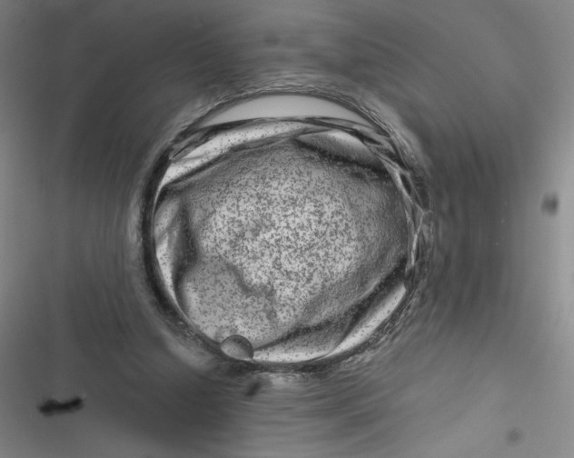 X0000116870250201001121307