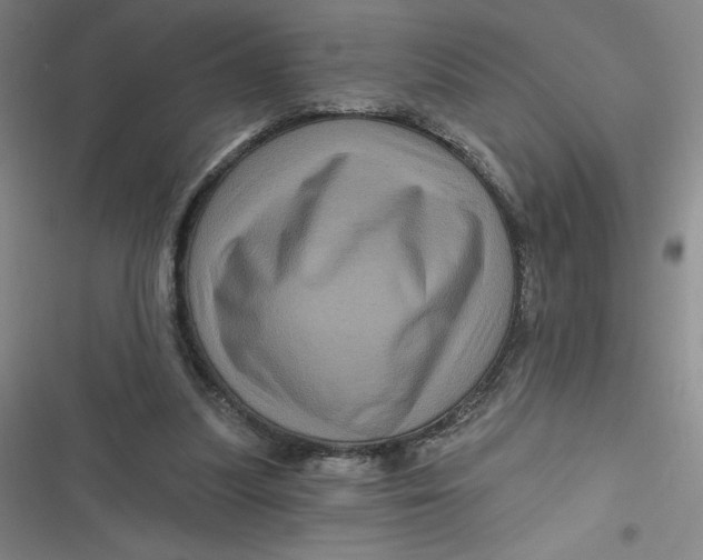 X0000116870251201001121307