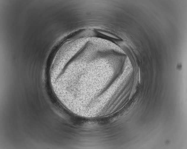 X0000116870252201001121307