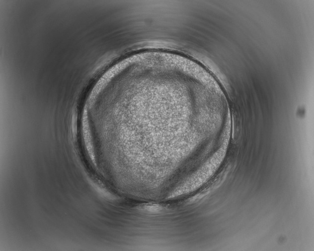 X0000116870253201001121307