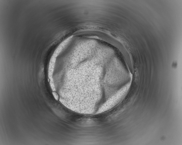 X0000116870254201001121307