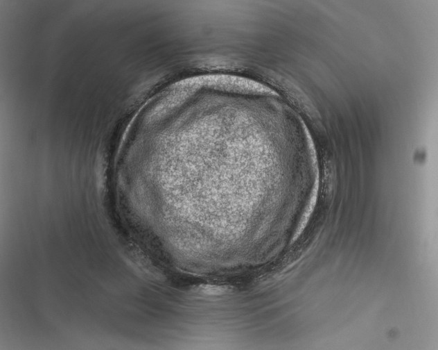 X0000116870255201001121308