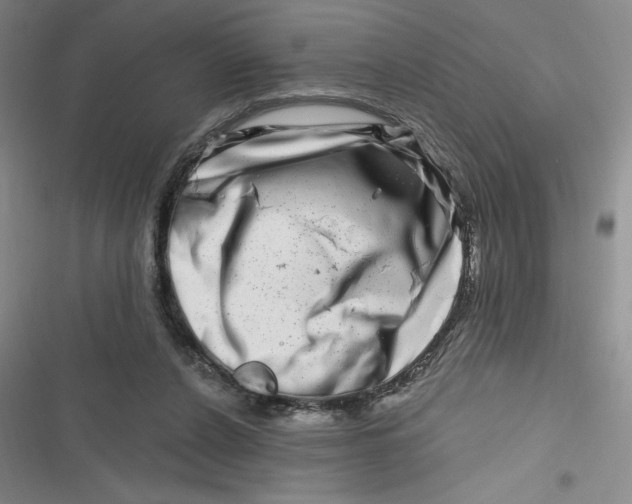 X0000116870256201001121308