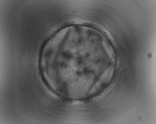 X0000116870257201001121308