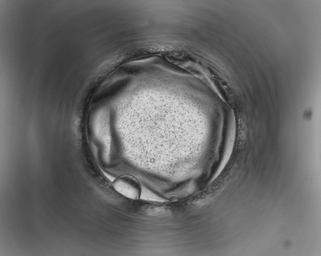 X0000116870258201001121308