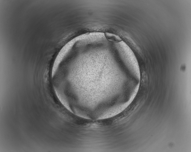 X0000116870259201001121308