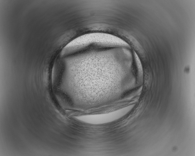 X0000116870261201001121308