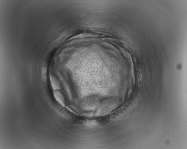 X0000116870262201001121308