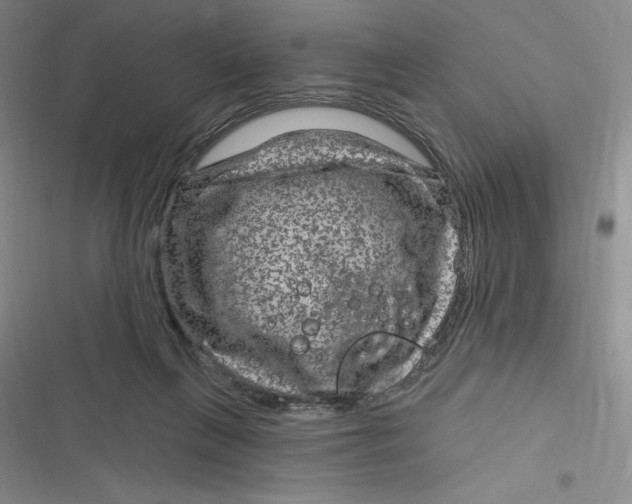 X0000116870263201001121308